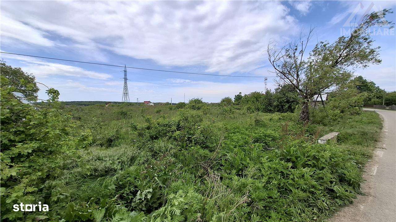 Teren Intravilan 3300 mp Paun Bucium,Utilitati!!! - Imagine principală: 5/5