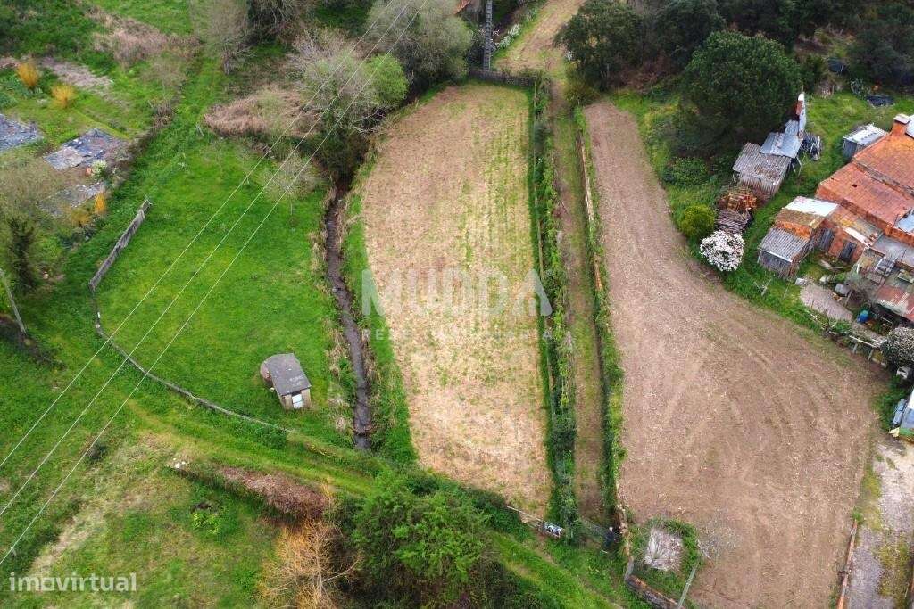 Terreno Rústico, Canelas, Aveiro - Grande imagem: 5/6