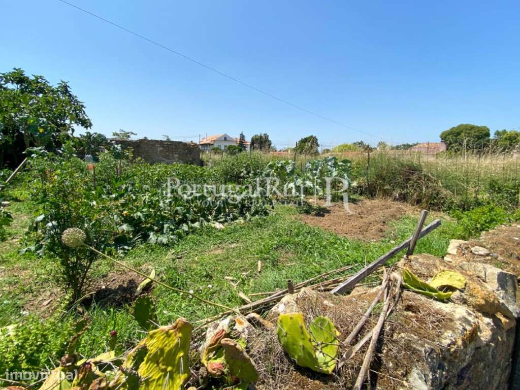 Terreno para Construção - Grande imagem: 4/22