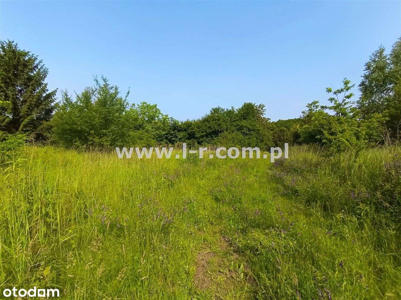 Atrakcyjna Działka W Sąsiedztwie Lasu-8