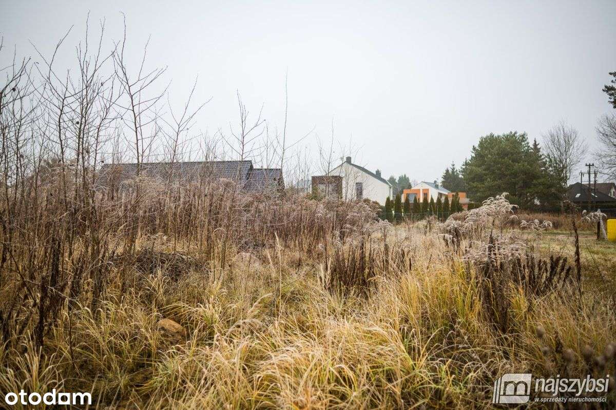 Mierzyn- działka budowlana w cichej okolicy - Pełny obrazek: 4/12
