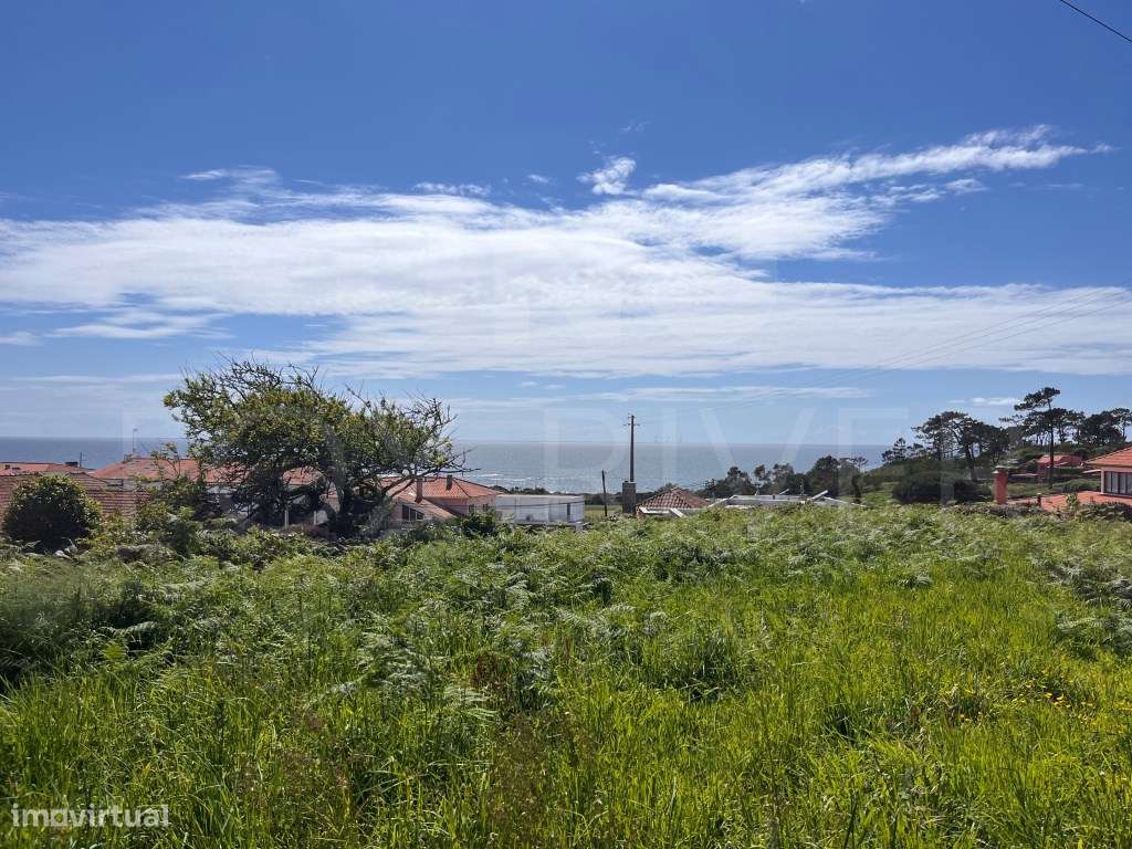 Terreno em Montedor, Carreço - Vista Mar Deslumbrante e Excelente P... - Grande imagem: 2/25