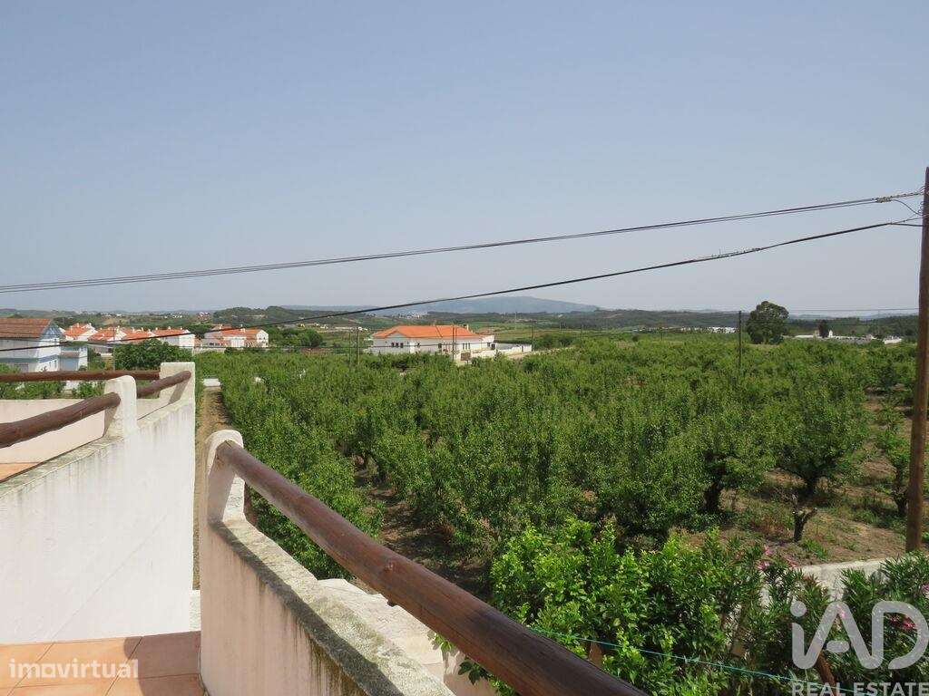 Casa / Villa T5 em Bombarral e Vale Covo - Grande imagem: 4/23