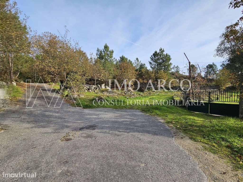 Terreno, Olival de Meanhos-3