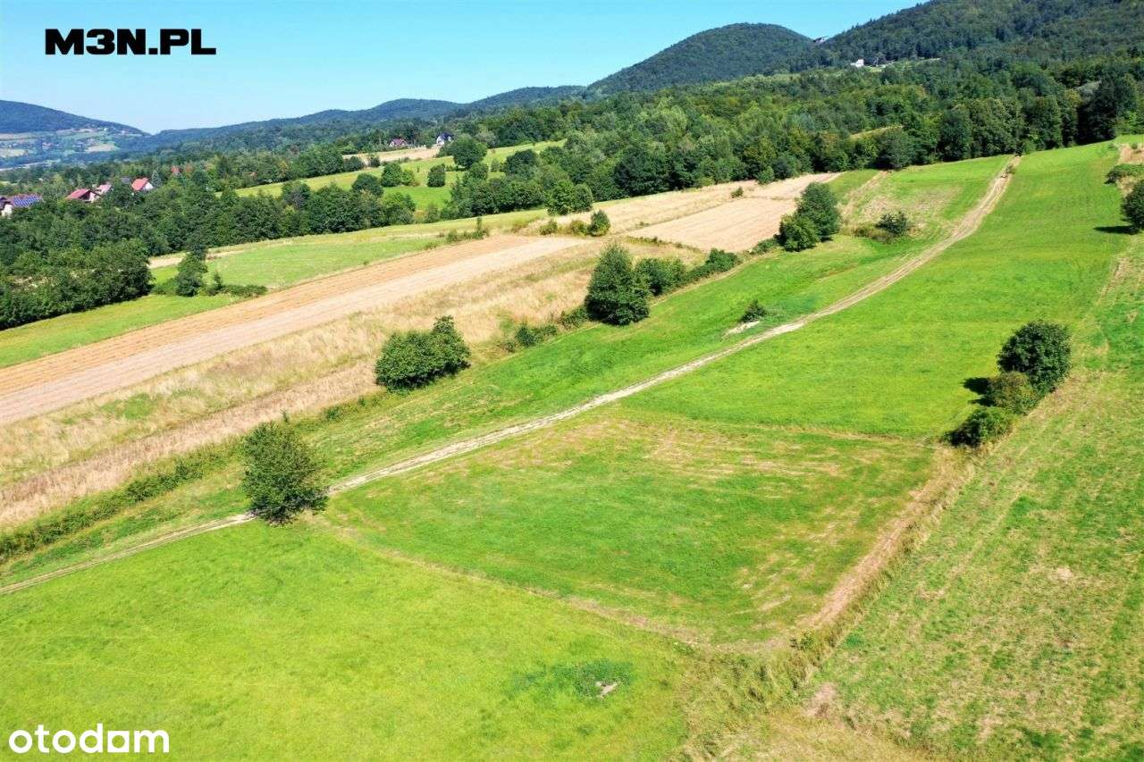 Działka budowlana 25 arów Wiśniowa / Dobczyce-8