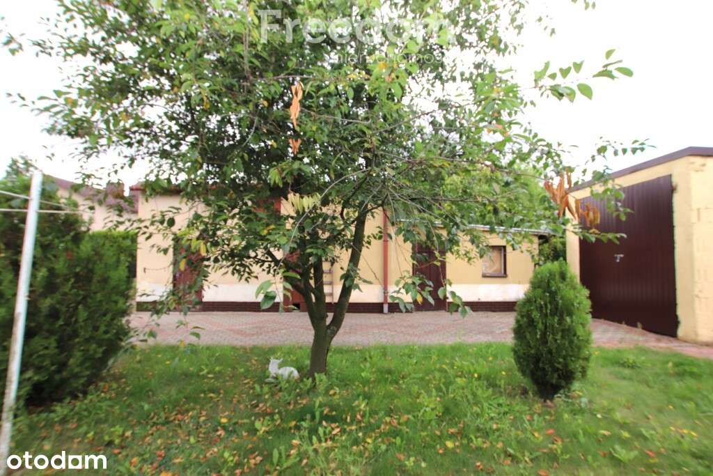 Murowany dom z ogrodem i garażem – Kłodawa - Pełny obrazek: 5/14