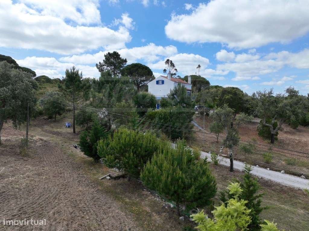 Quinta perto de Melides-59