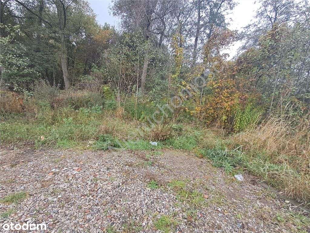 spokojna lokalizacja, duży potencjał inwestycyjny - Pełny obrazek: 4/5