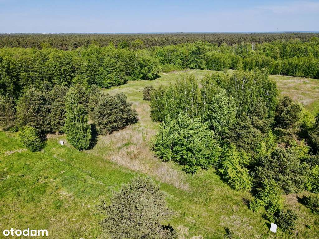 Przepiękna działka przy lesie - natura i spokój! - Pełny obrazek: 2/20