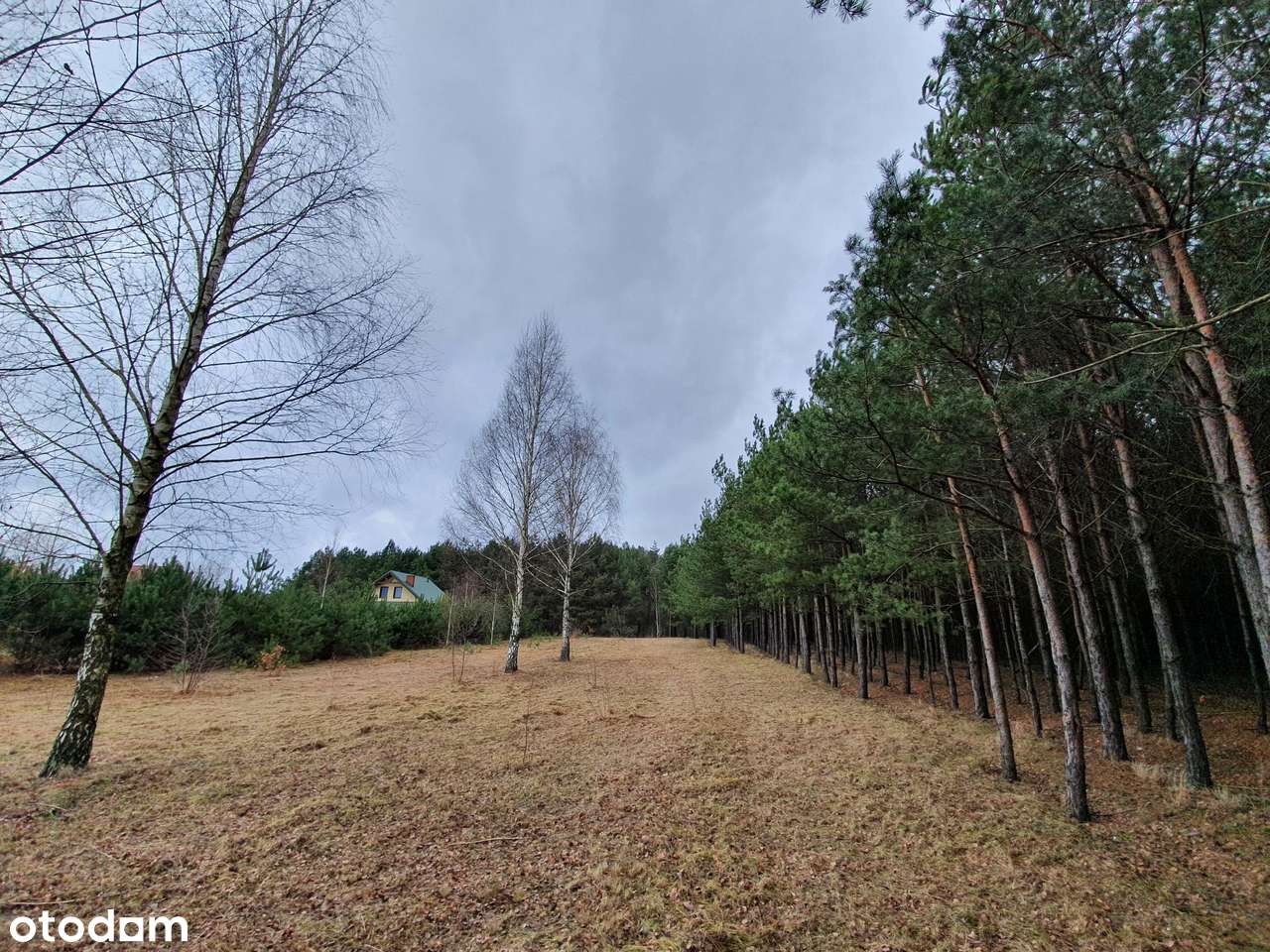 Działka z pozw. na budowę, projekt Inovia, j. Białe-3