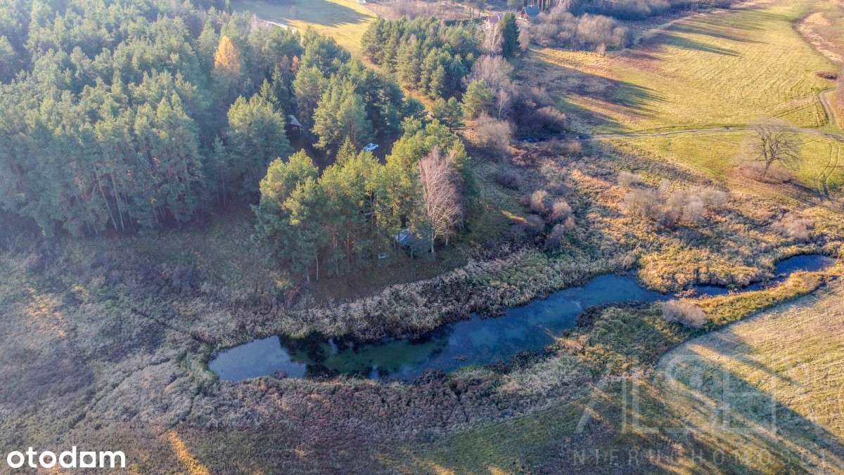 Dom z własnym stawem w ostatniej linii zabudowy-19
