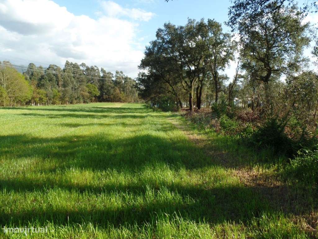 Terreno - Grande imagem: 4/7