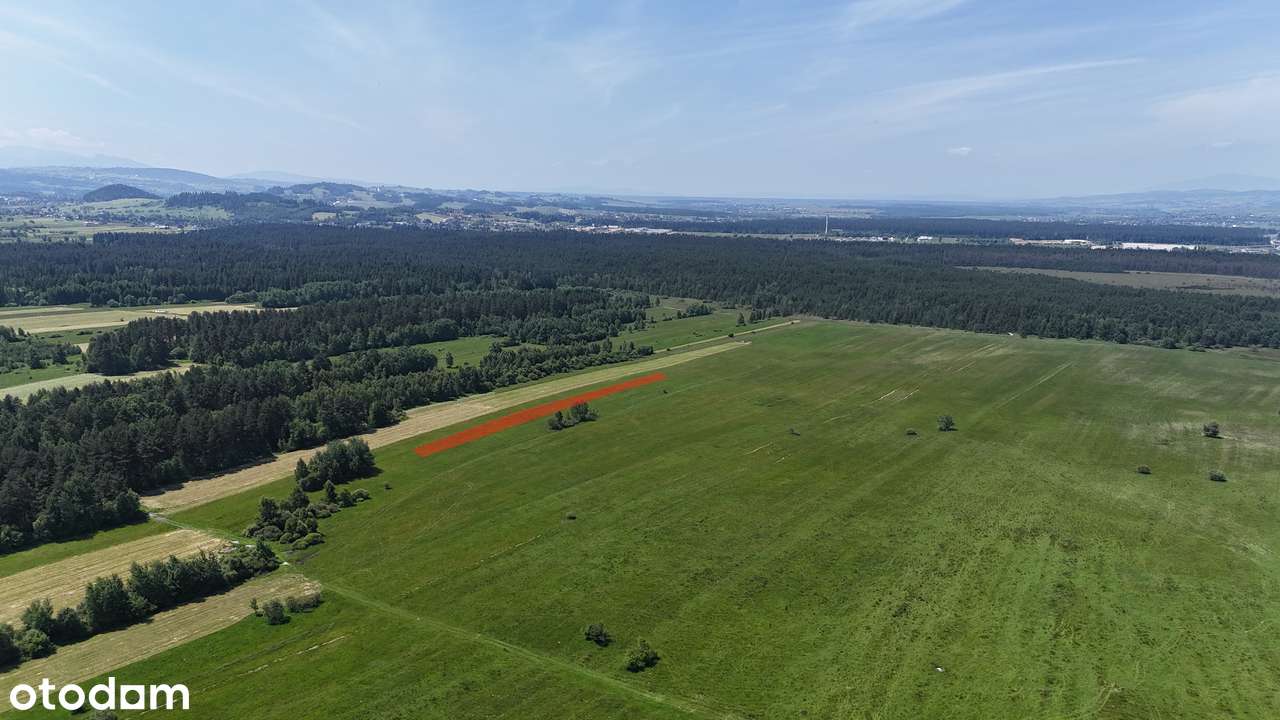 Wyjątkowa lokalizacja przy rezerwacie „Bór na Czerwonem” - Pełny obrazek: 1/3