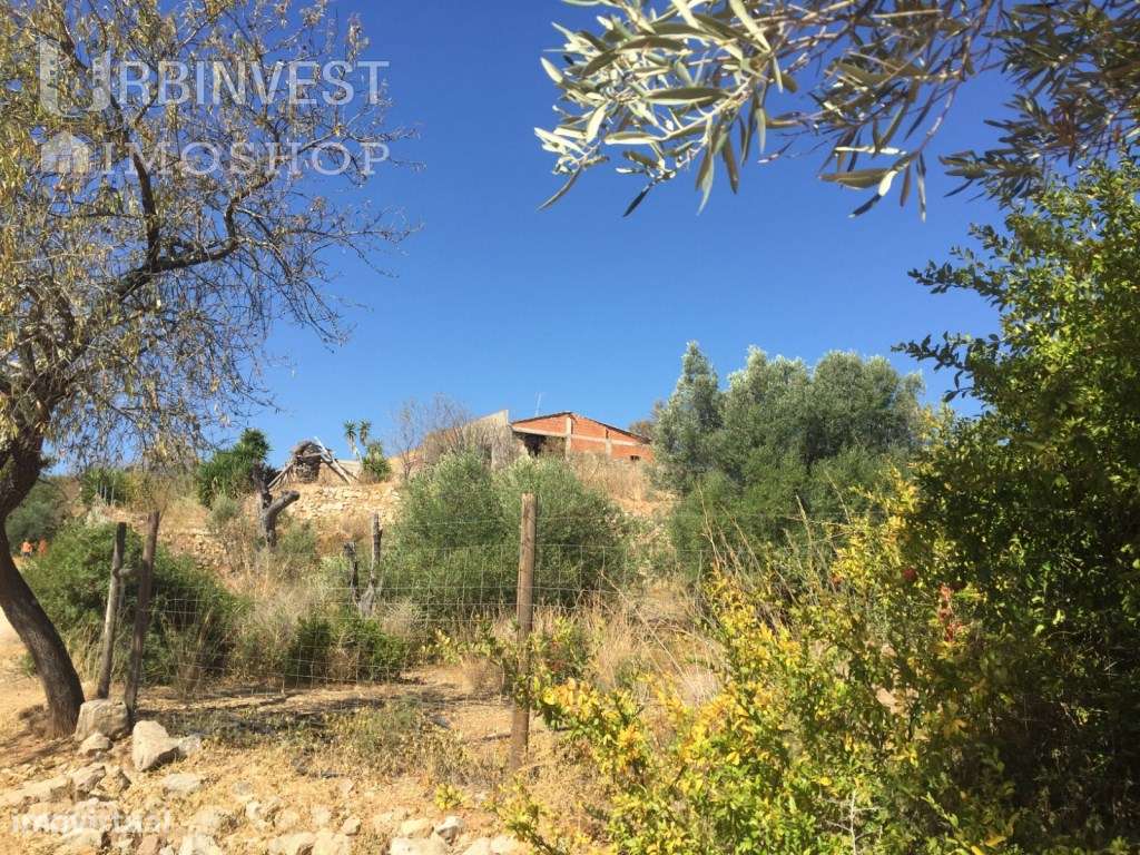 Quinta com 4.440 M2, Vista mar entre Loulé e Almancil - Casa princi... - Grande imagem: 5/19