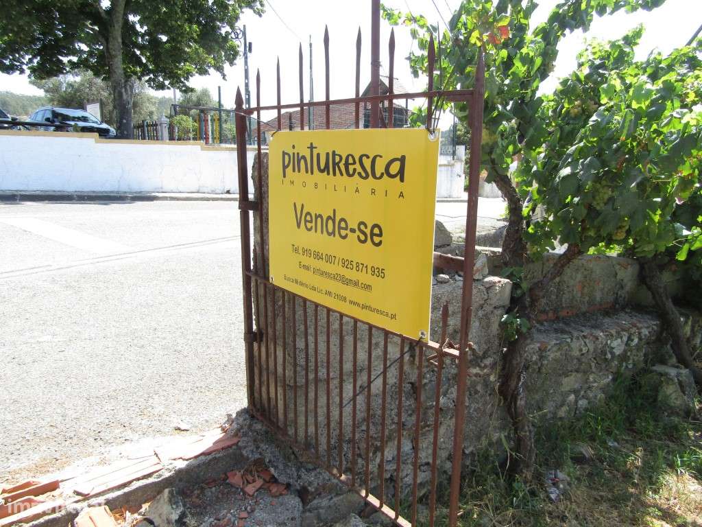 Lote da Tapada, Sardoal-11