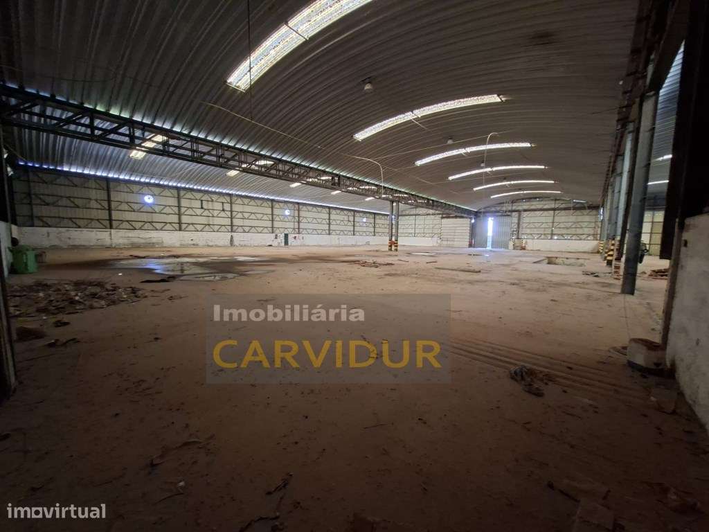 Armazém Industrial de Grande Dimensão - Parque Industrial da Mitren...-22