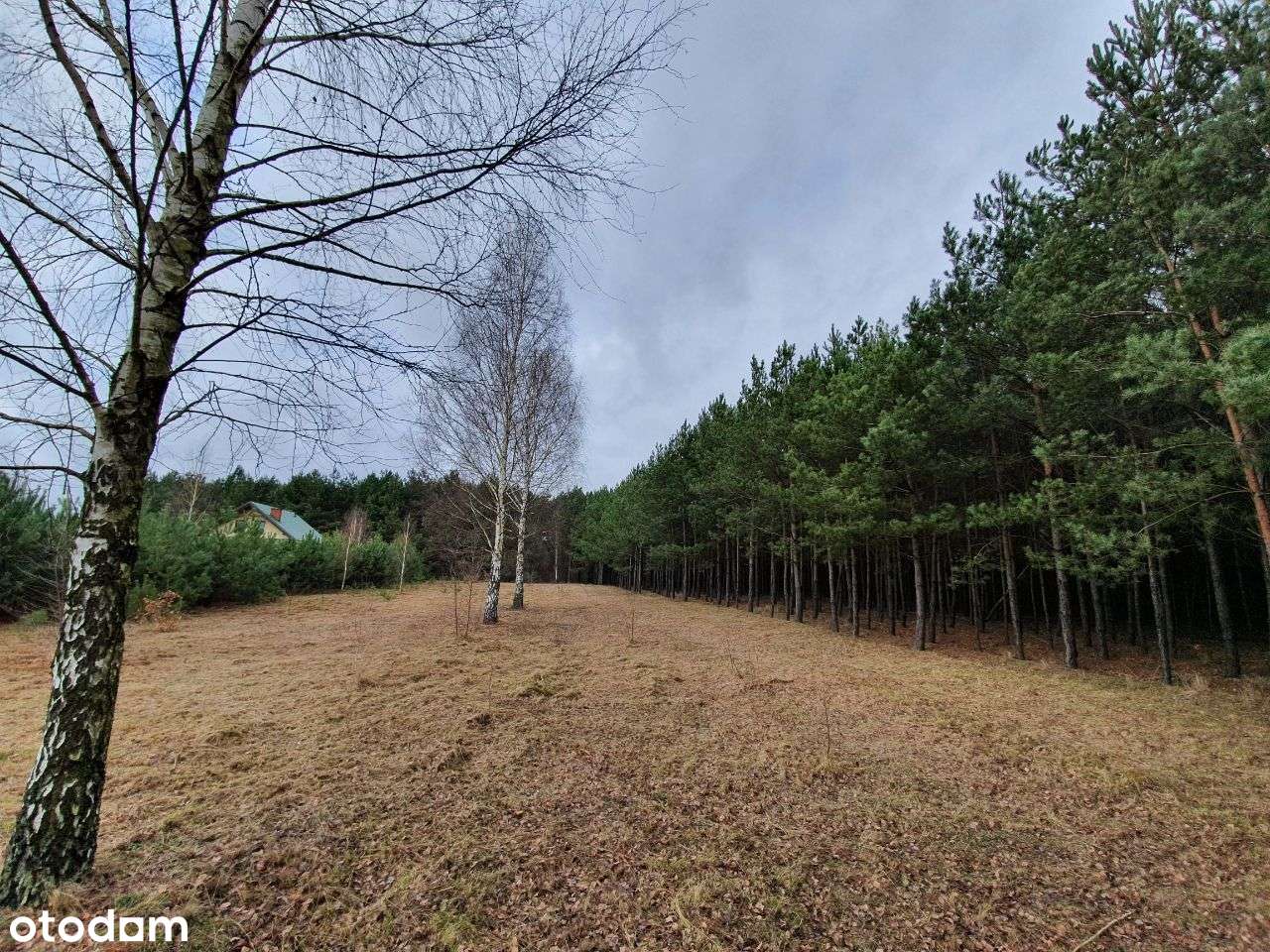 Działka, pozw. na budowę, projekt Inovia, j. Białe - Pełny obrazek: 3/19