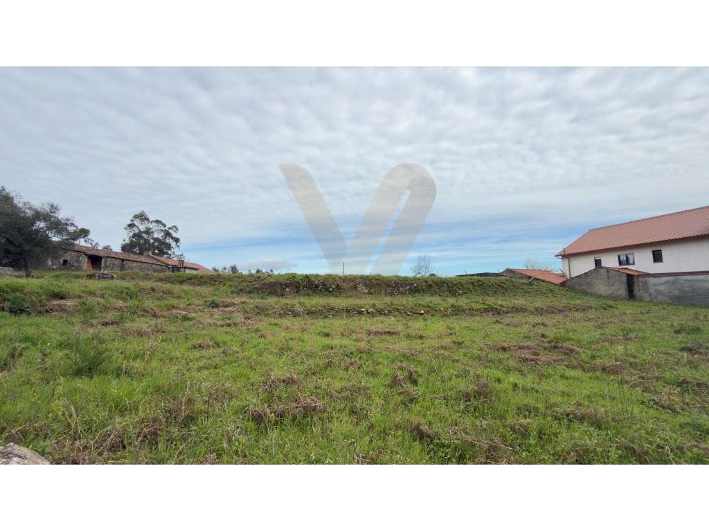Terreno 2.402 m² para Construção | Freixo - Ponte de Lima - Grande imagem: 2/8