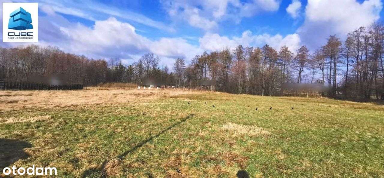 Ostania widokowa i uzbrojona działka 10ar Jaworze-13