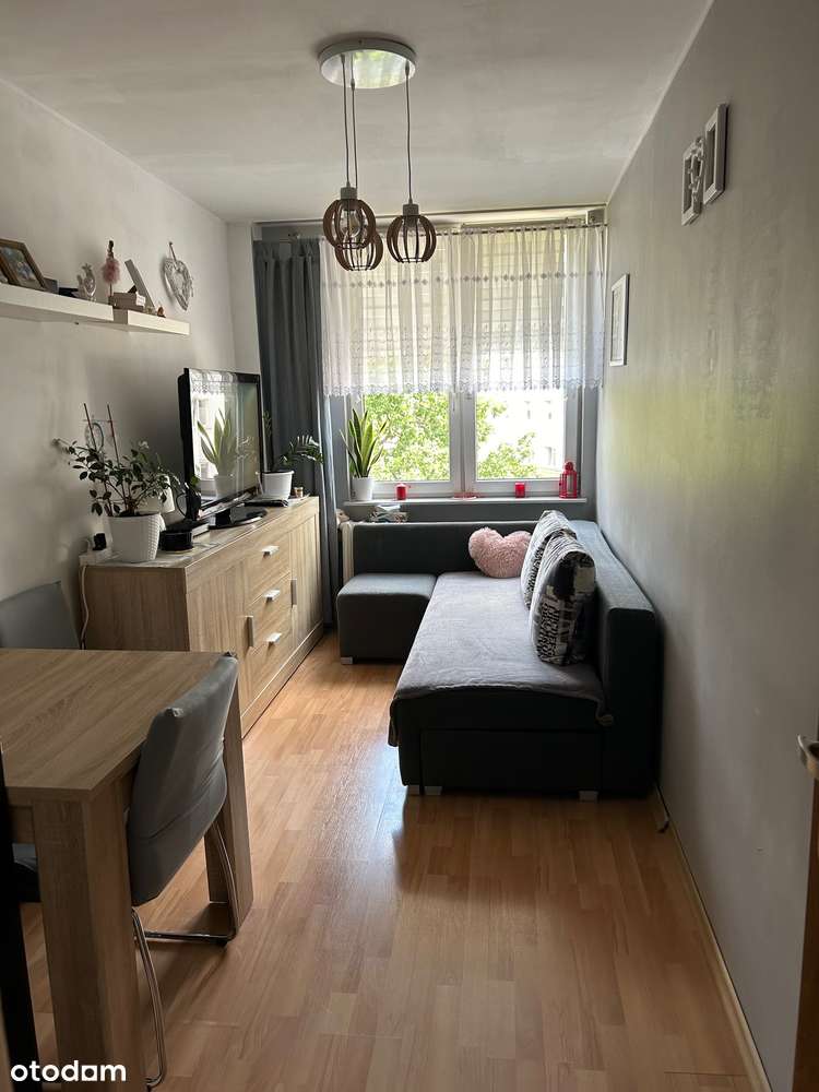 MIESZKANIE 3-pok. SADYBA 46m2 narożne, widne, rozkładowe-3