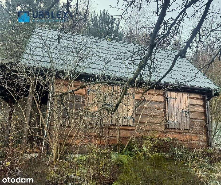 DOMEK LETNISKOWY + WŁASNY LAS-8