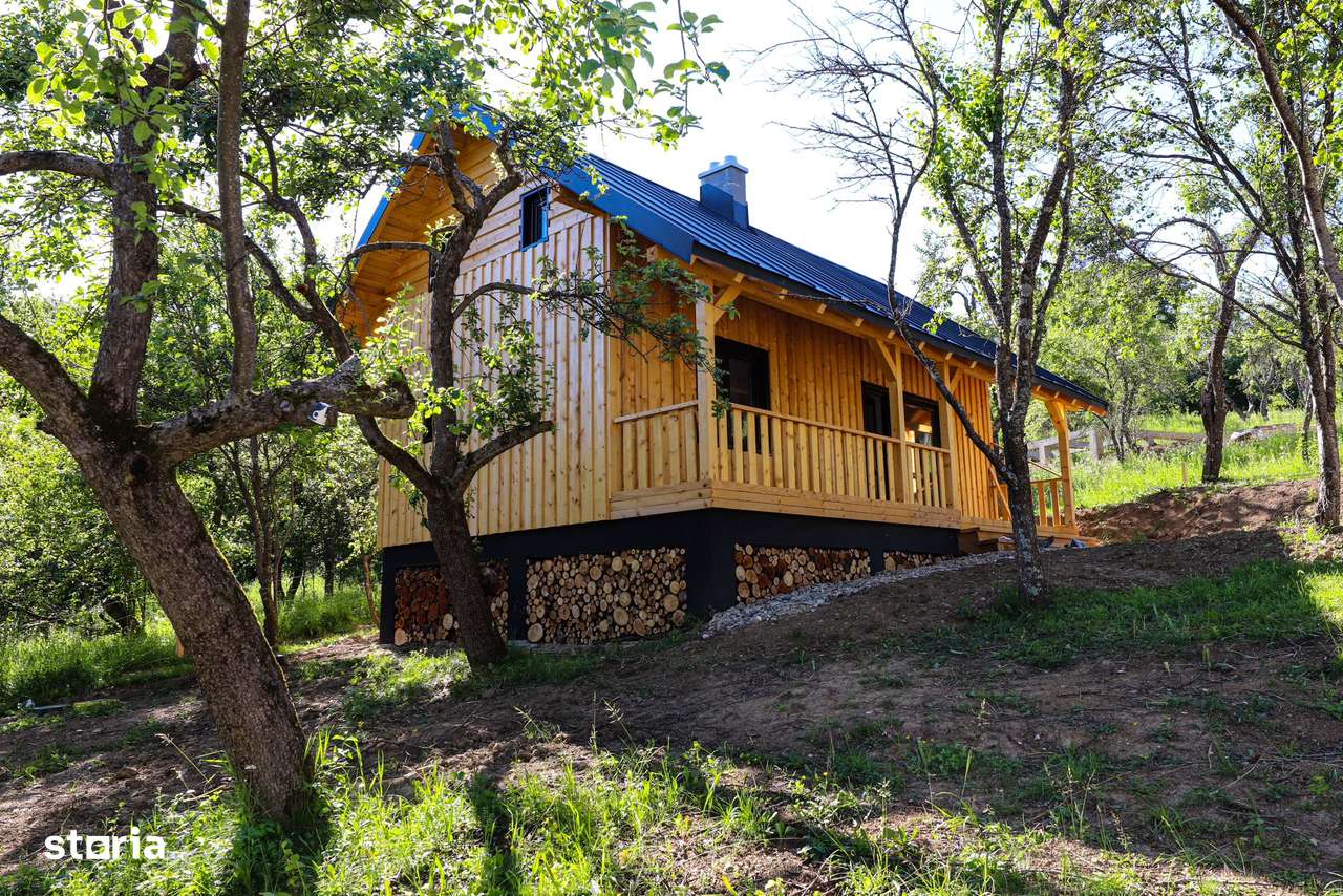 Cabana de vis in Nucsoara - Arges - 65.000 Euro+TVA-15
