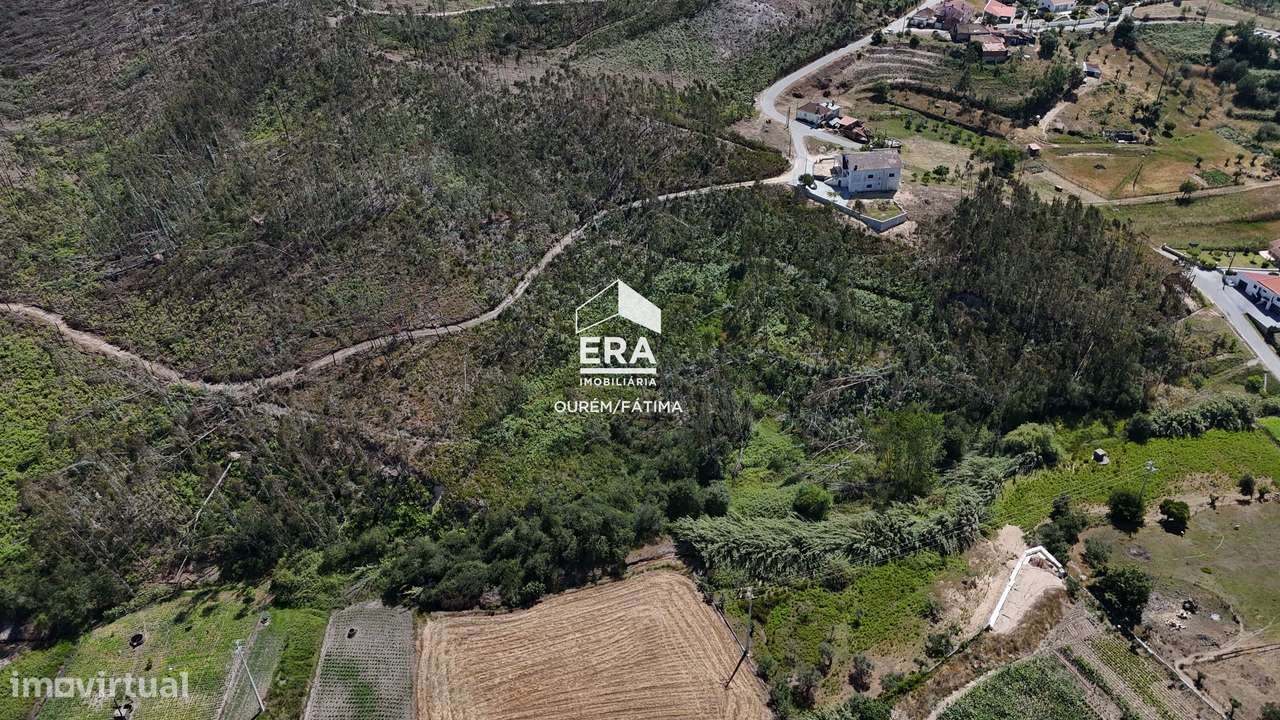 Terreno Florestal em Matas, Ourém-15