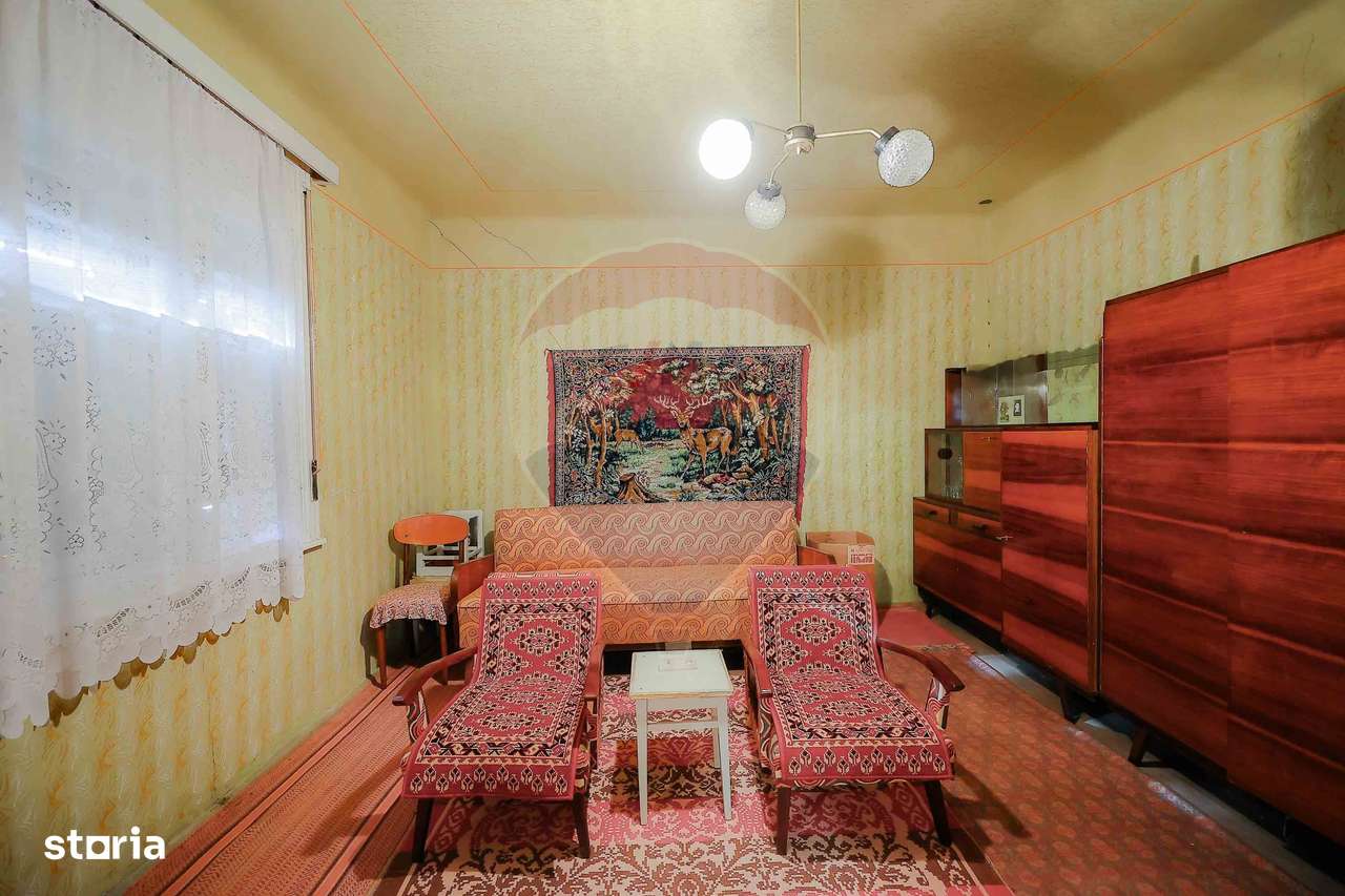 De vânzare casă cu teren de 3036 mp în Borș - Imagine principală: 4/19