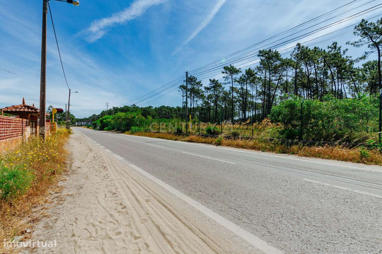 Terreno Urbano na Charneca de Caparica | Pinhal da Aroeira-9