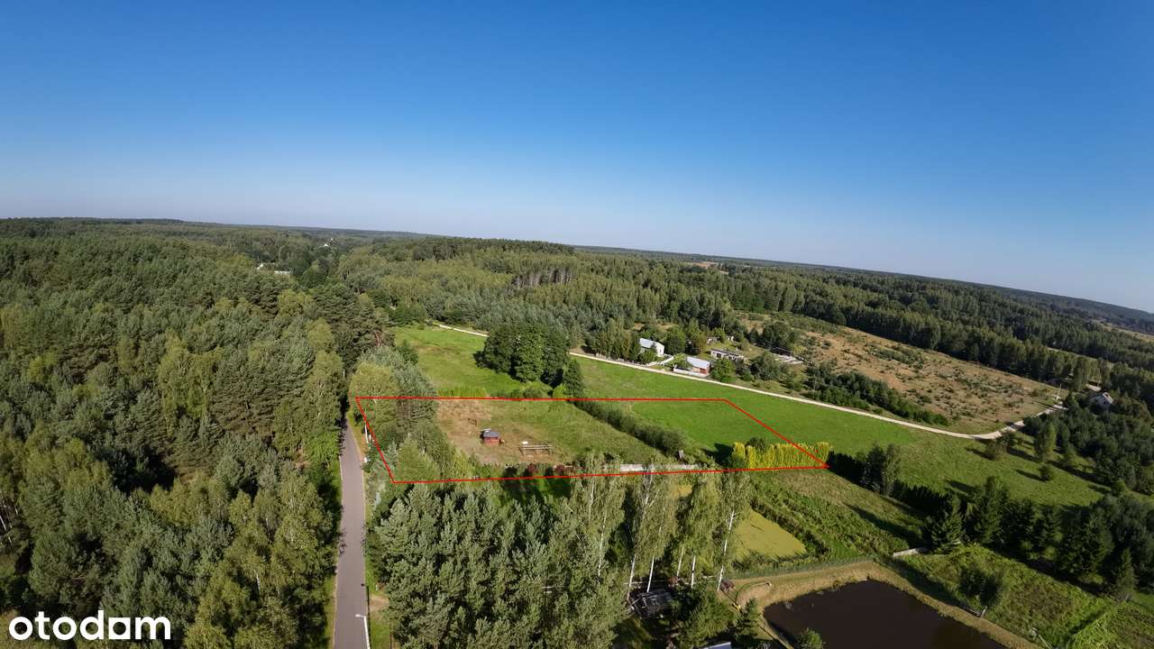 Działka przy lesie z WZ - 4500m2, uzbrojona - Pełny obrazek: 3/11