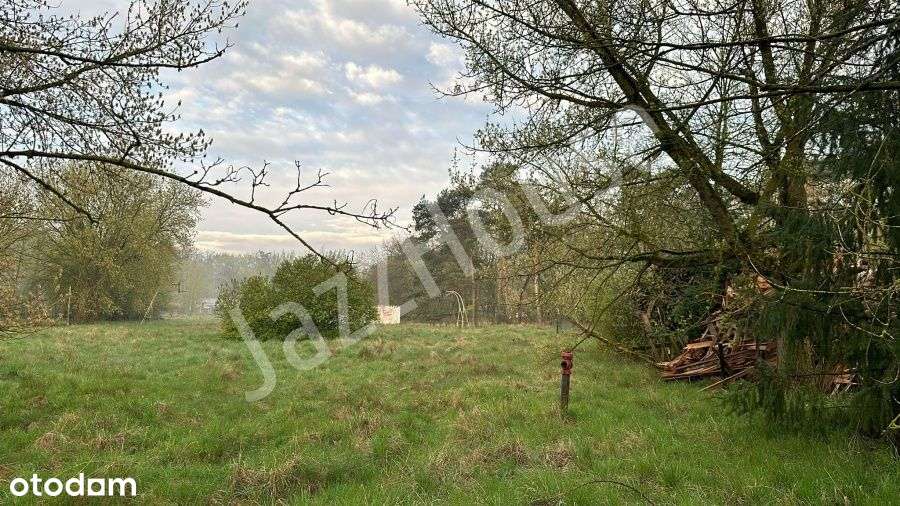 Działka Inwestycyjna Trasa S5 Poznań - Kościan - Pełny obrazek: 4/9