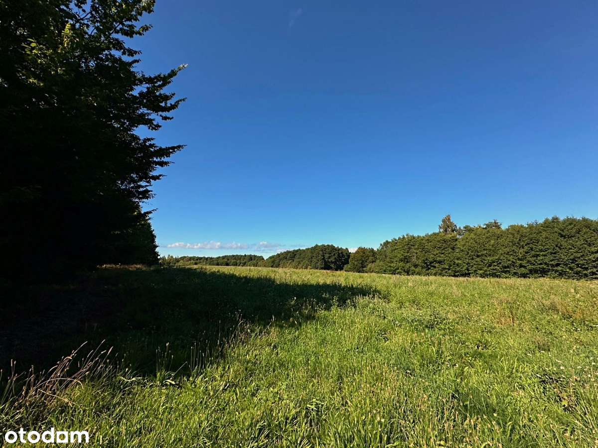 Działka budowlana*Blisko Kołobrzeg*morze - Pełny obrazek: 3/14