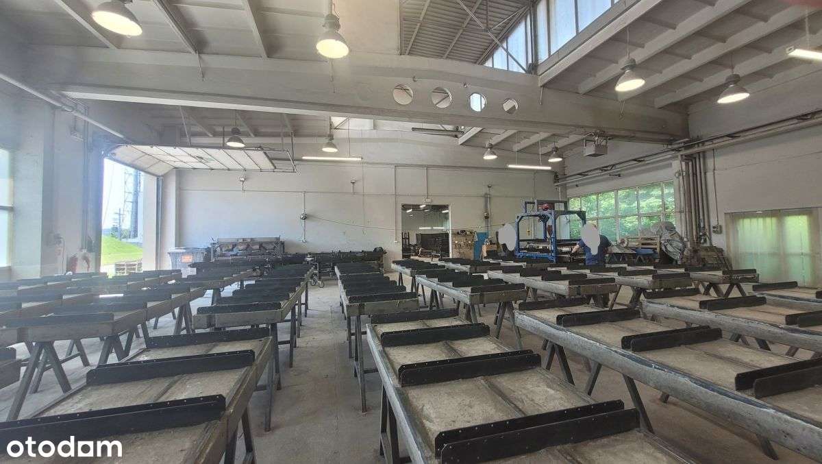 magazyn, warsztat,  produkcja - Niepołomice - Pełny obrazek: 5/8