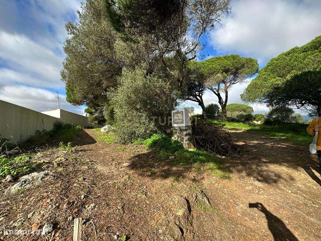 Terreno Bicesse - Grande imagem: 5/10