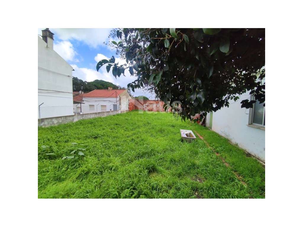 Lote terreno com área de 335m2 - Bairro Alentejano - Grande imagem: 3/5