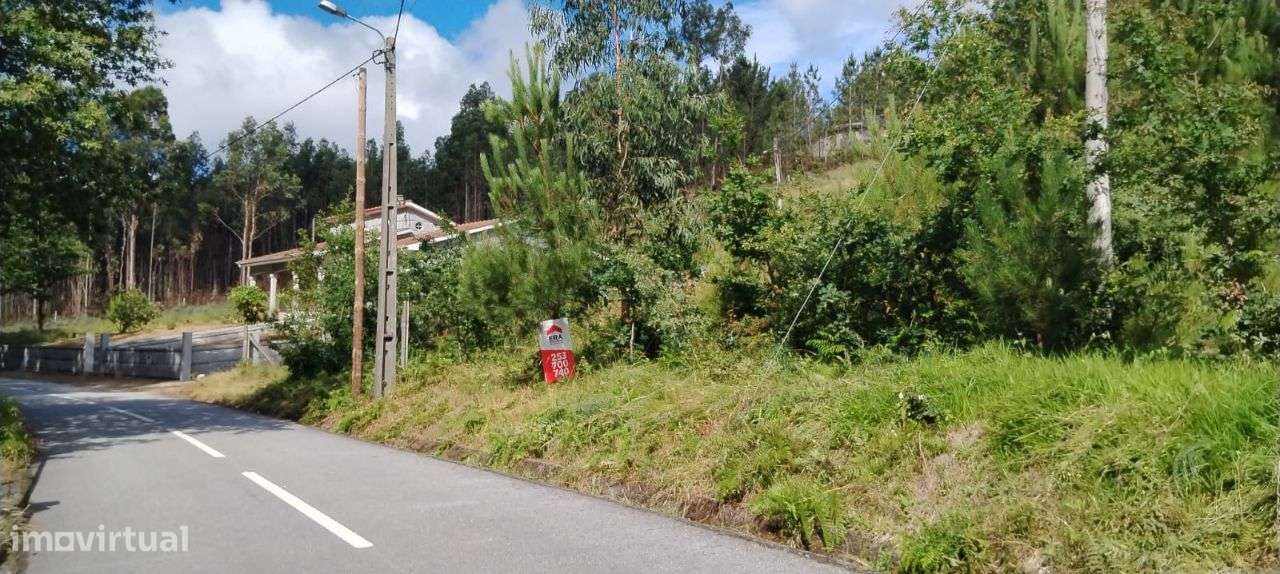 Terreno com 3.360 m2 em Arnozela - Grande imagem: 2/14