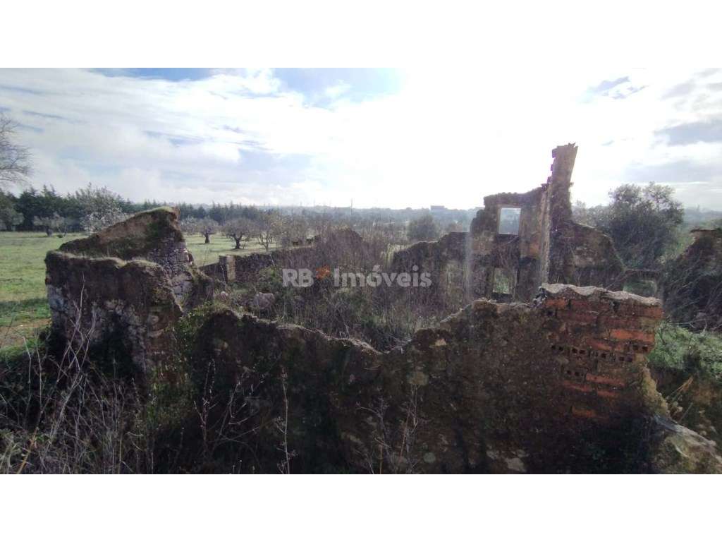 Terreno misto com 3080 m2, em Delongo - Grande imagem: 5/14