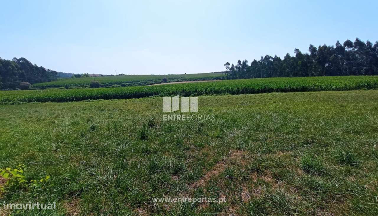 Venda de Terreno agrícola com 4187m2, Laúndos, Póvoa de Varzim - Grande imagem: 2/8
