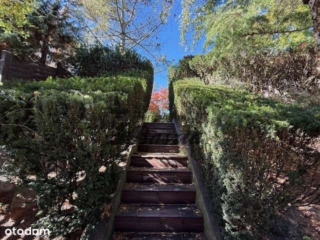 Poniemiecka willa z wyjściem do Parku Kasprowicza - Pełny obrazek: 4/17