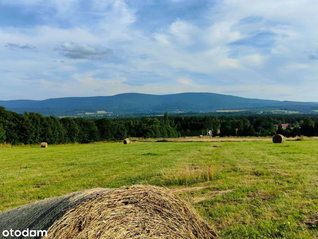 Działka 10 724 m² w spokojnej okolicy gór i lasów - Pełny obrazek: 4/5