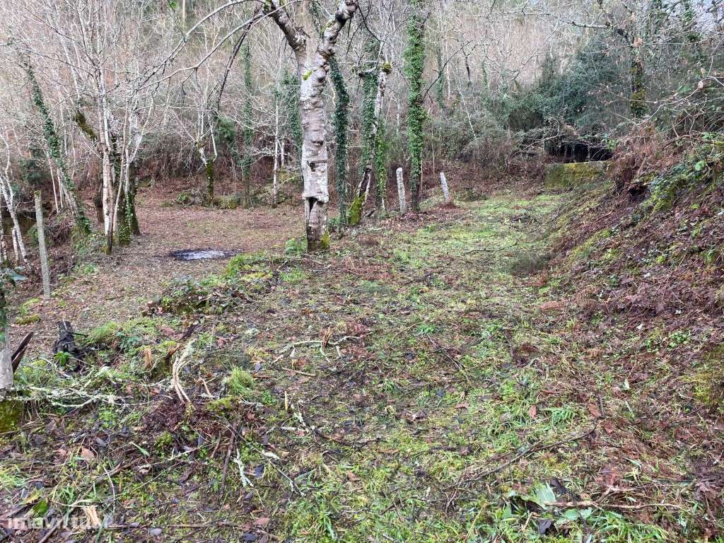 Quinta dos Chãos - Refúgio Natural para Agricultura - Grande imagem: 3/28