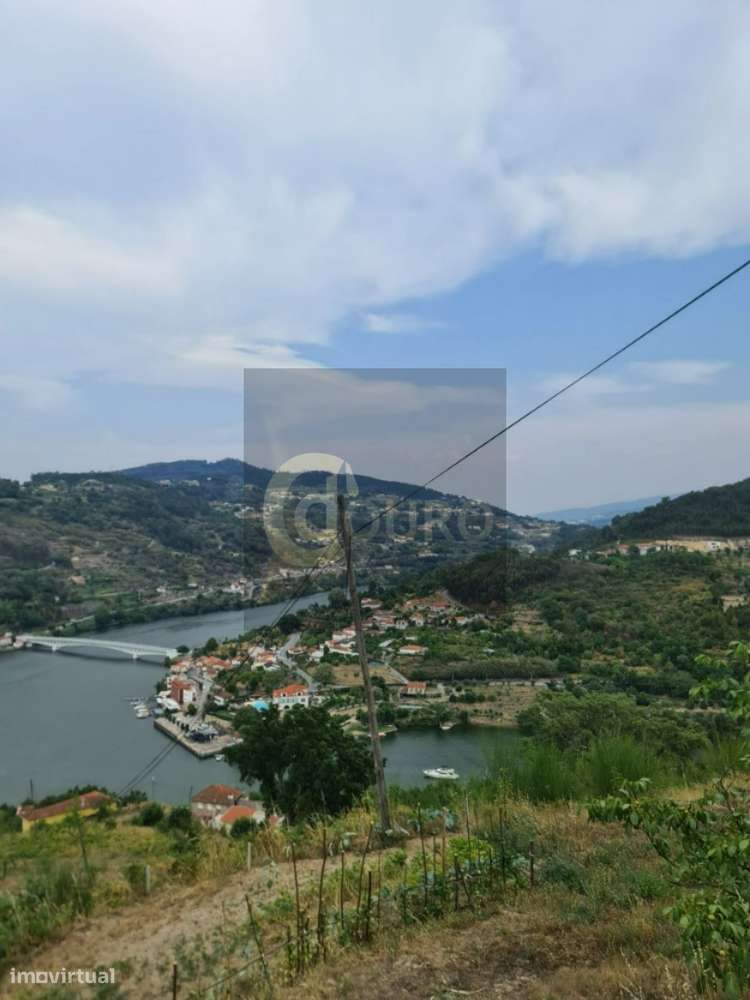 Quinta - Grande imagem: 5/19