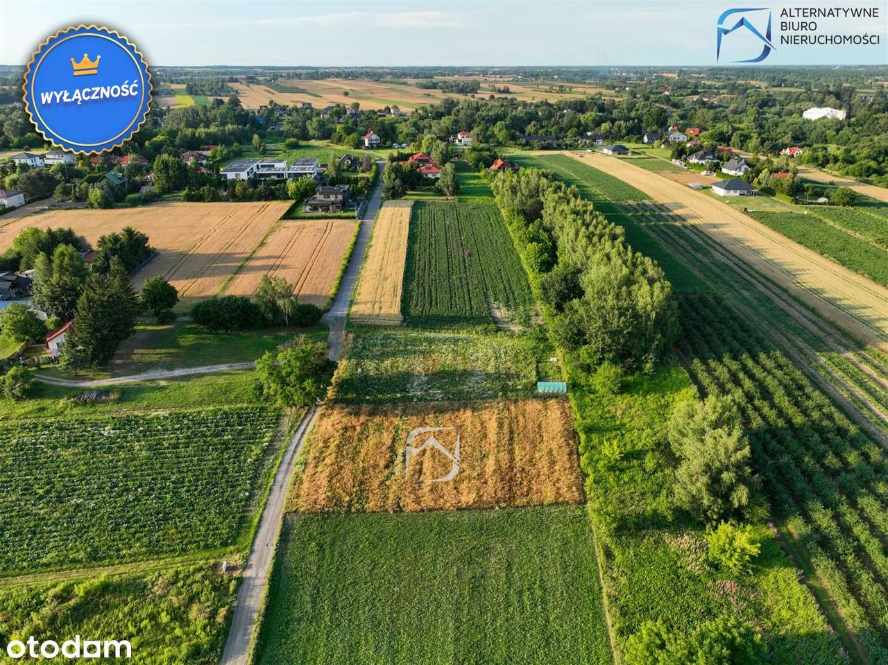 Działka budowlana Dąbrowica Gm. Jastków - Pełny obrazek: 5/13