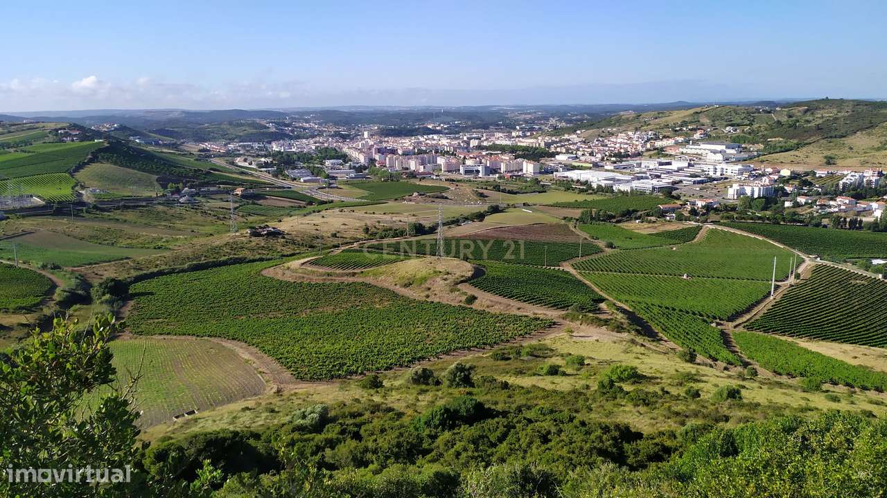 trespasse Snack Bar Torres Vedras - Grande imagem: 5/6