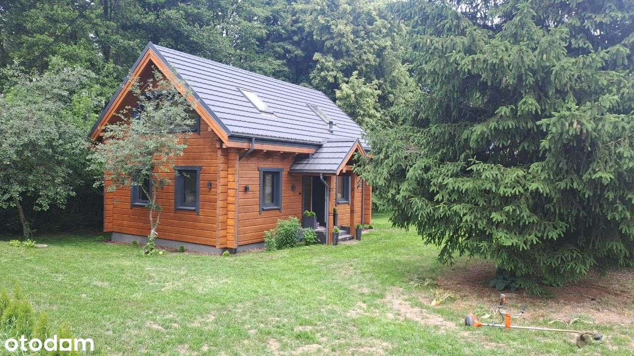 Sprzedam siedlisko , dom drewniany - Pełny obrazek: 5/19