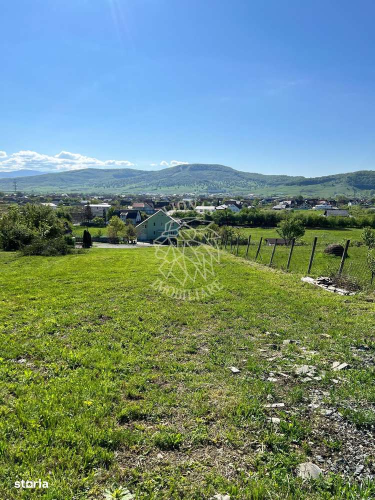 Teren intravilan 1800mp-utilitati-parcelabil-ideal casa-Viile cu Pomi - Imagine principală: 2/6