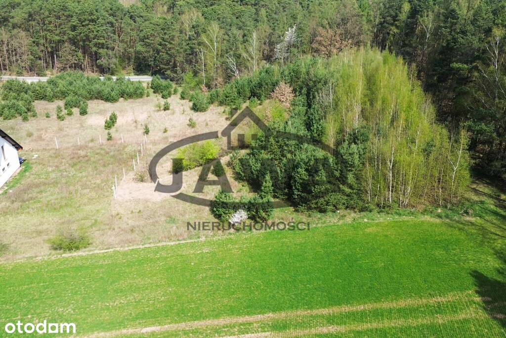 Mochle, gm. Sicienko / 4400m2 / ściana lasu - Pełny obrazek: 5/10