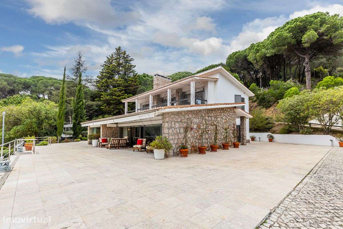 Quinta T6 para venda - Grande imagem: 3/47