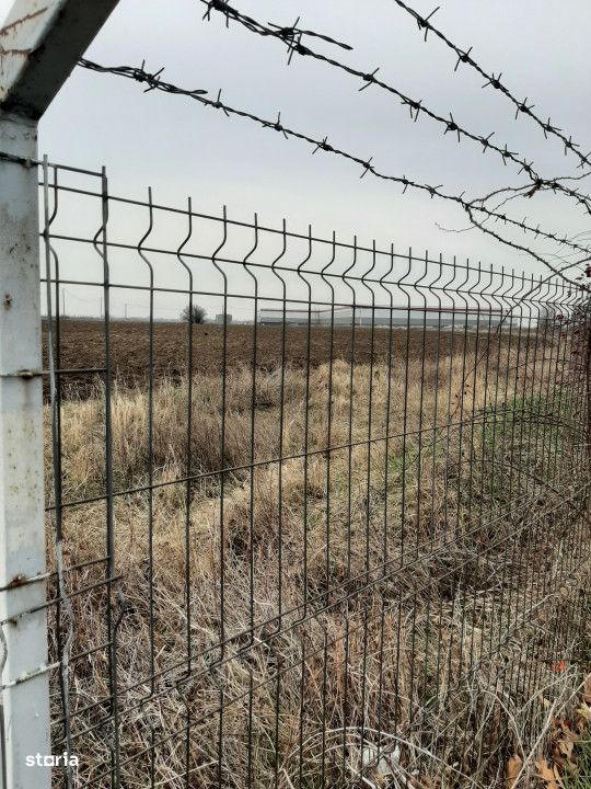 Teren, zona industriala, depozite in Domnesti. Tarlaua 7