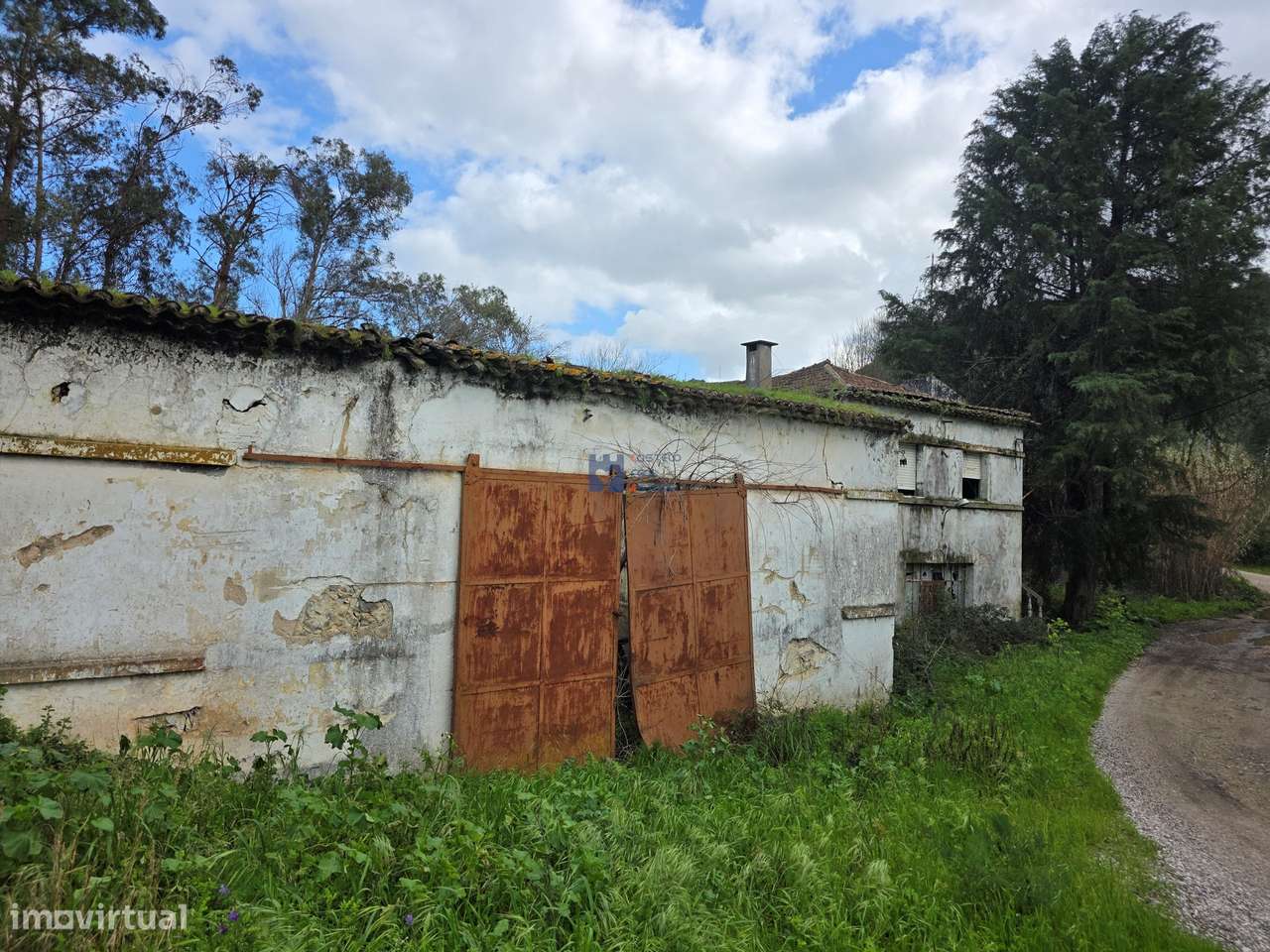 Misto de terrenos urbanos e rústicos na Zibreira, Torres Novas. - Grande imagem: 2/17